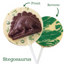 Image shows Fetcha Chocolates handmade solid white chocolate lollipops from front and back view with milk chocoloate 3D dinosaur decoration. The lollipops are vegan, dairy free, gluten free and soy free and come in plastic-free packaging.