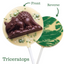 Image shows Fetcha Chocolates handmade solid white chocolate lollipops from front and back view with milk chocoloate 3D dinosaur decoration. The lollipops are vegan, dairy free, gluten free and soy free and come in plastic-free packaging.